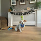 Birthday Hats - Personalised