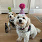 Birthday Hats - Personalised