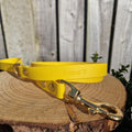 Waterproof Lead - Yellow Biothane®