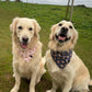 Christmas Bandana - Gingerbread 'Pink'