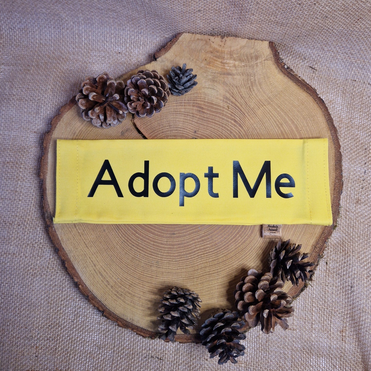 Adopt Me Dog Lead Slider