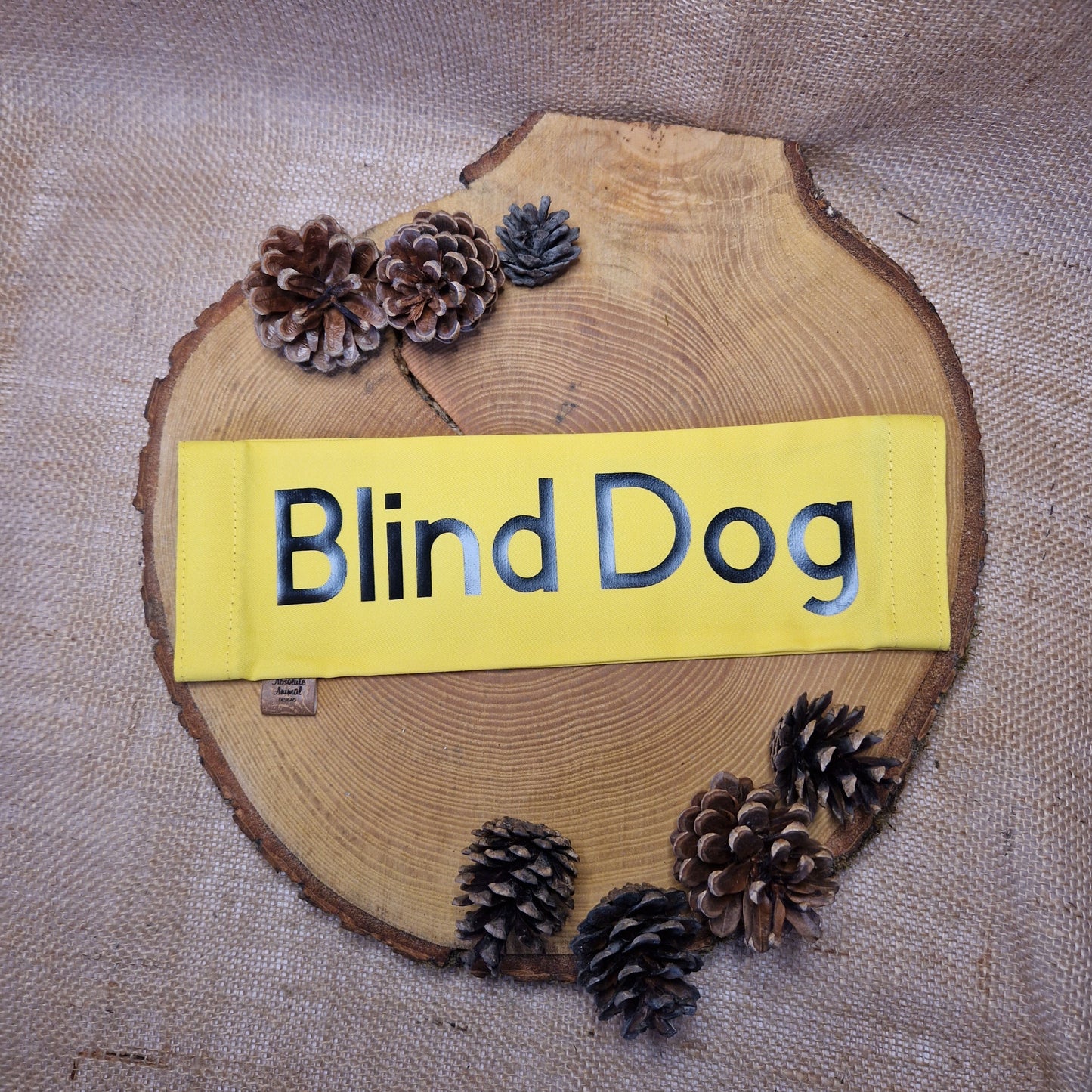 Blind Dog Lead Slider