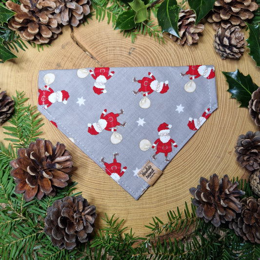 Christmas Bandana - Santa