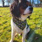 Valentines Bandana - Olive You