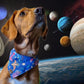 Bandana - Space Dinosaurs