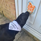Bandana - Instagram Personalised Dog Bandana