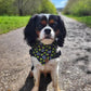 Valentines Bandana - Olive You