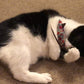 Cat Nip Mouse