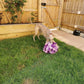 Snuffle Sensory Ball