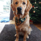 Christmas Bandana - Gingerbread