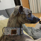 Collar - Martingale