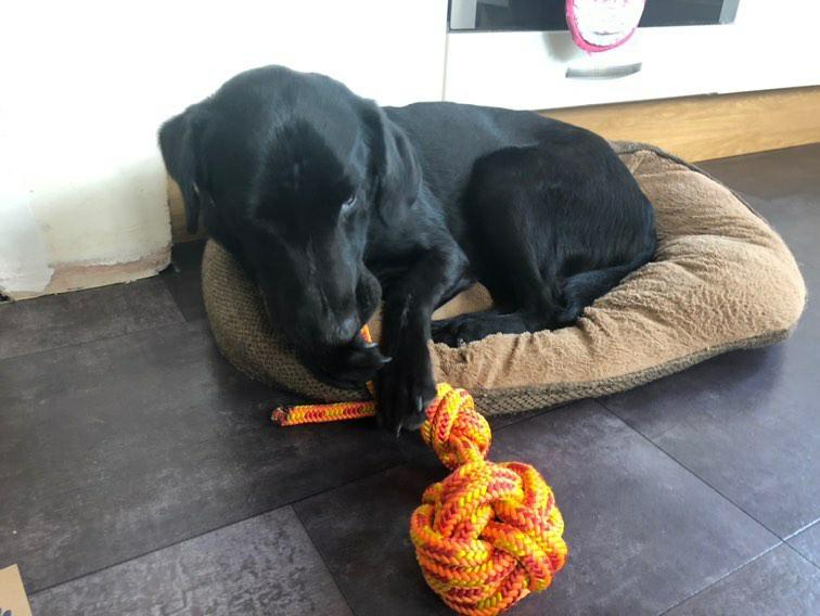 Recycled Rope Toy