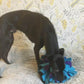 Snuffle Sensory Ball