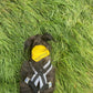 Dog Awareness Bandanas