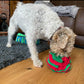 Puzzle 'Enrichment' Sensory Snuffle Ball