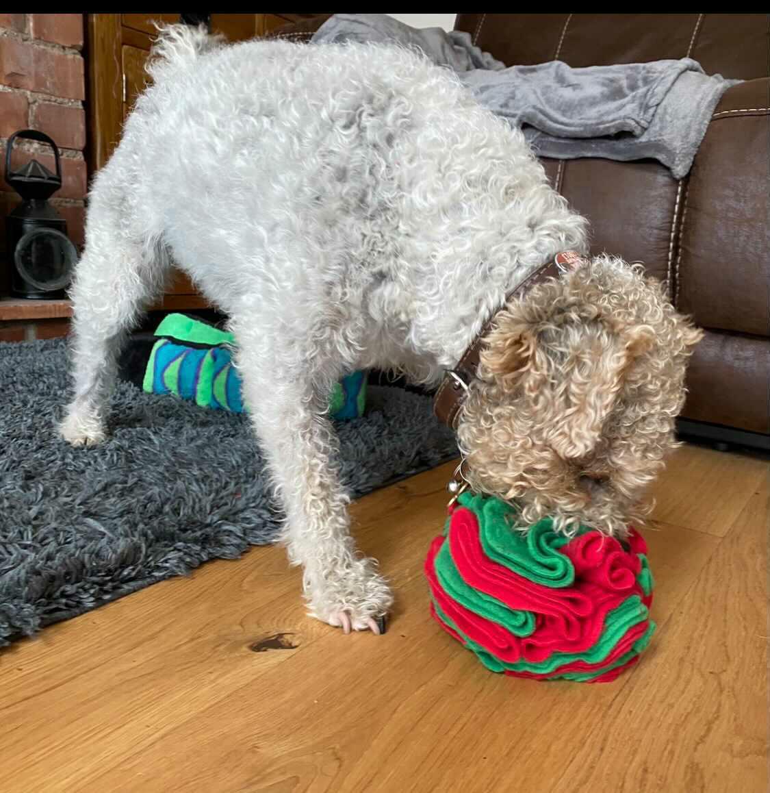 Puzzle 'Enrichment' Sensory Snuffle Ball