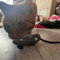 Cat Nip Mouse