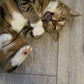 Cat Nip Mouse