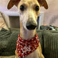 Bandana - Love Hearts