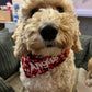 Bandana - Love Hearts