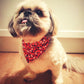 Bandana - Love Hearts