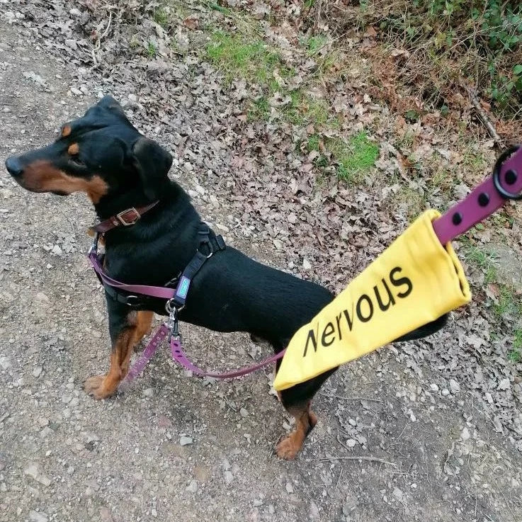 Awareness Dog Lead Sliders