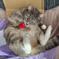 Cat Nip Mouse