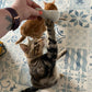 Cat Nip Mouse