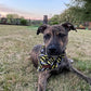Bandana - Batman