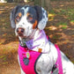 Bandana - Pink Daisy