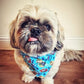 Bandana - Paw Patrol