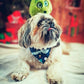 Christmas Bandana - Santasaurus