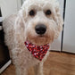 Bandana - Love Hearts