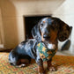 Christmas Bandana - Gingerbread