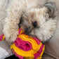 Puzzle 'Enrichment' Sensory Snuffle Ball