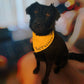Dog Awareness Bandanas