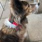 Collar - Red Polka Dot